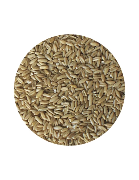 Semilla de Avena pelada DISFA 1 kg.